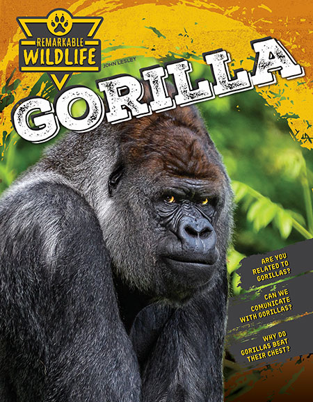 Gorilla