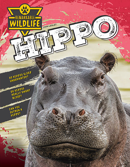 Hippopotamus (Hippo)
