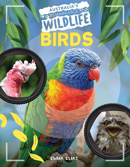 Birds