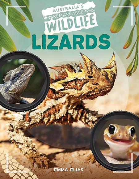 Lizards