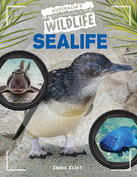 Sealife