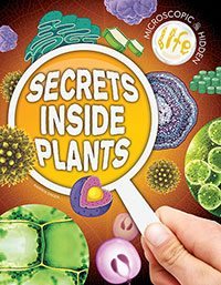Secrets Inside Plants 