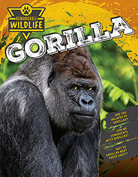 Gorilla