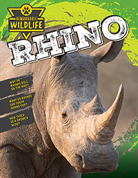 Rhinoceros (Rhino)