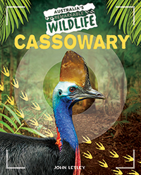 Cassowary